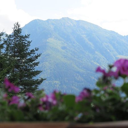 Apartamento Haus Enzian Sankt Johann im Pongau Exterior foto