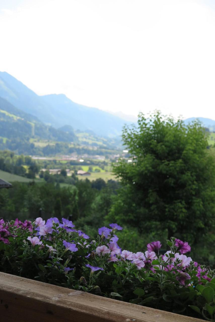 Apartamento Haus Enzian Sankt Johann im Pongau Exterior foto